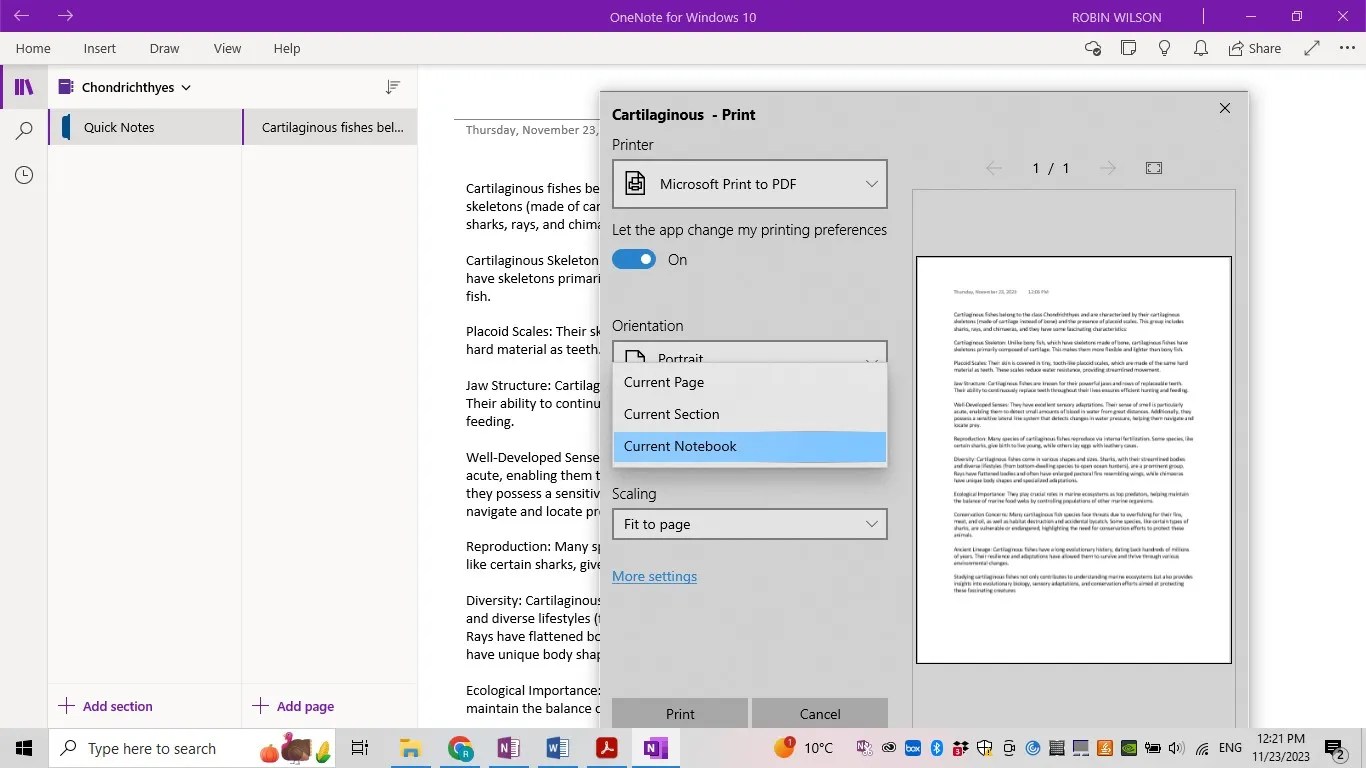 How to Export OneNote to PDF? (The Detailed Guide)UPDF