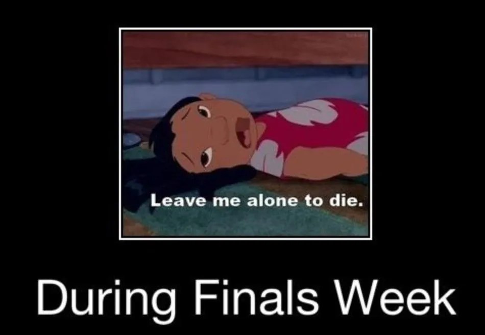 16 Funny Finals Memes to Share Your Feeling [Official] UPDF