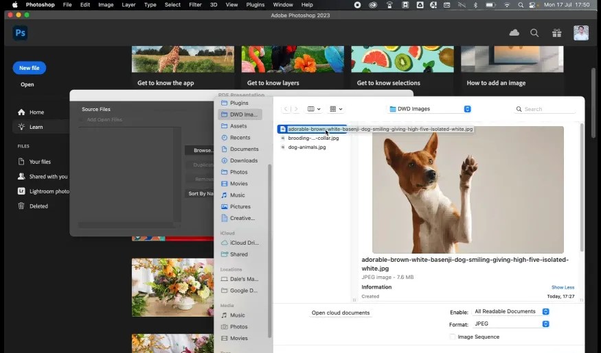 How to Batch Convert JPG to PDF? (6 Ways) UPDF
