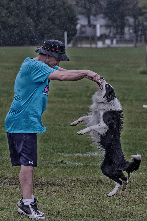 Edison, New Jersey Dog Sport Competition For Everyone