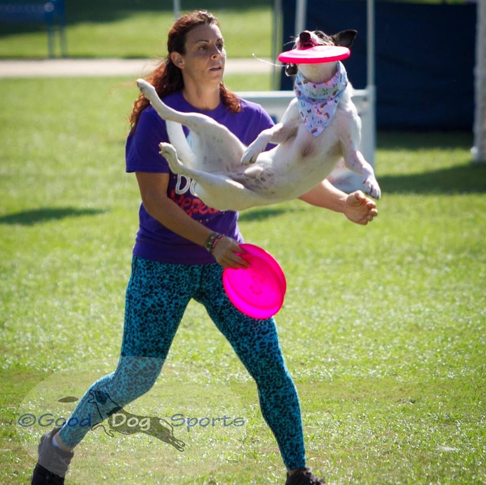 West St Paul, MN, US Nov 16th The Canine Coach! Dog Sport