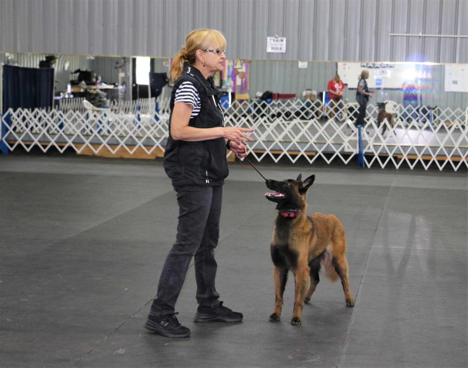 Dog Obedience Training Up Front Obedience School and Dog Center New Jersey