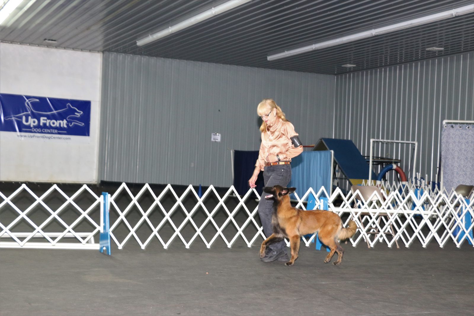 Dog Training Match Up Front Obedience School and Dog