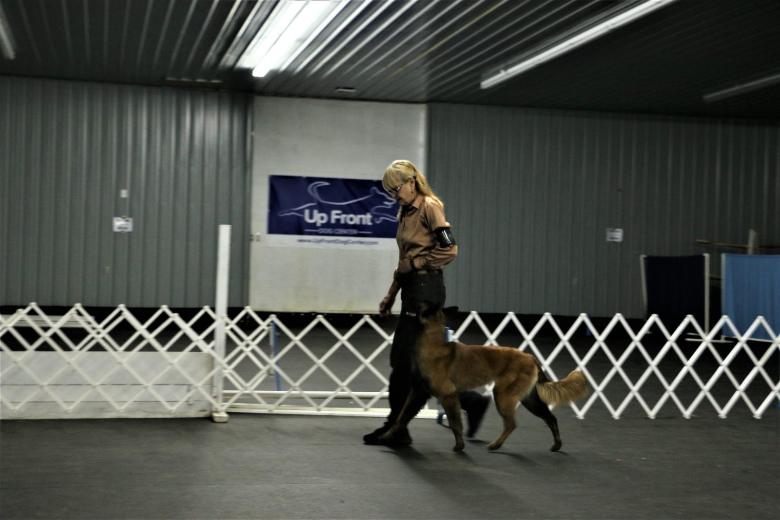 Dog Training Match Up Front Obedience School and Dog