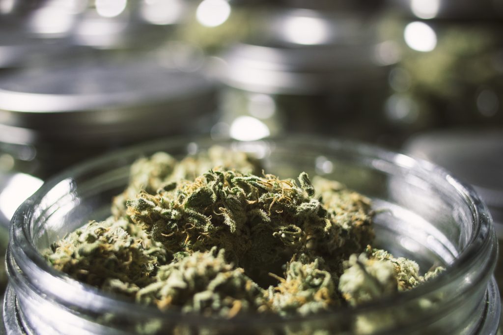 How to Choose Top Shelf Weed