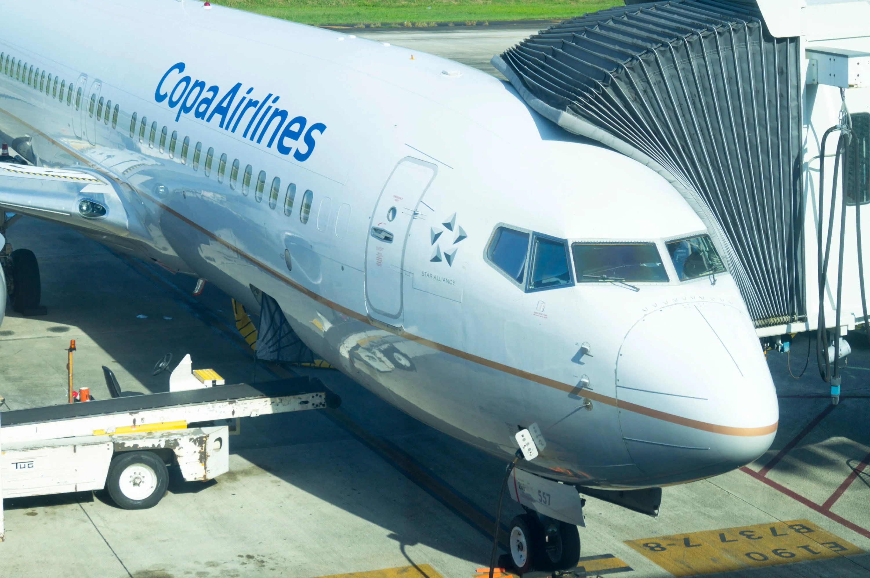 Copa Airlines Baggage Fees and Policy [Updated 2024]