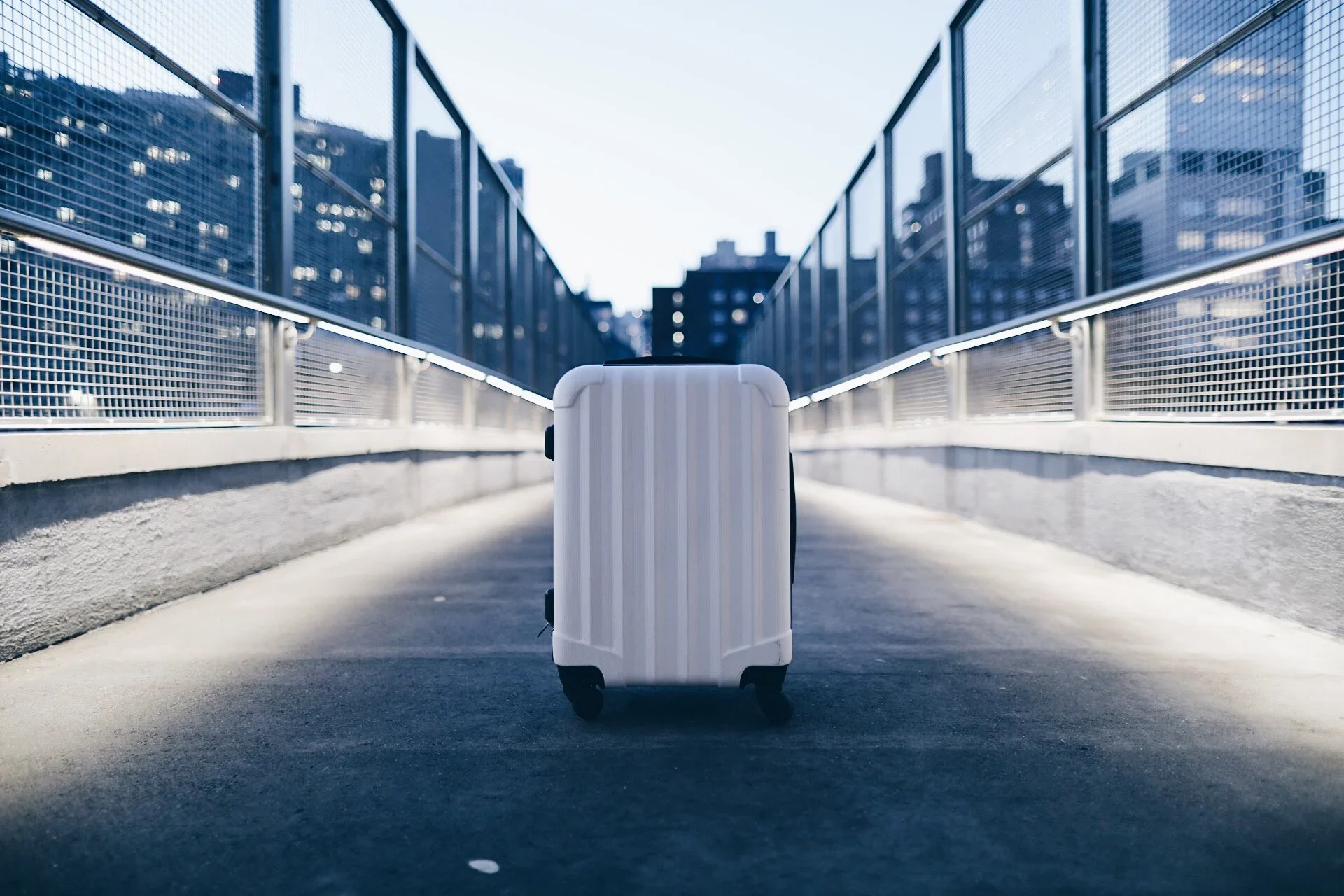 The 8 Best Genius Pack Luggage & Accessories [2023]