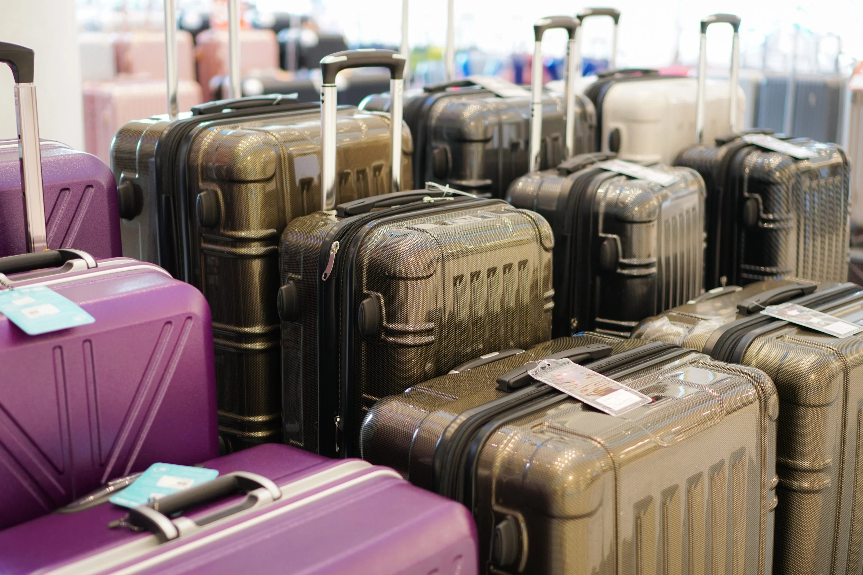 The 15 Best Luggage Sets for Travel Buyer's Guide [2024]