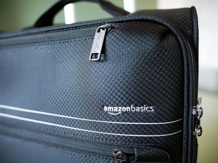 16 Best AmazonBasics Luggage Bags & Backpacks [2021]