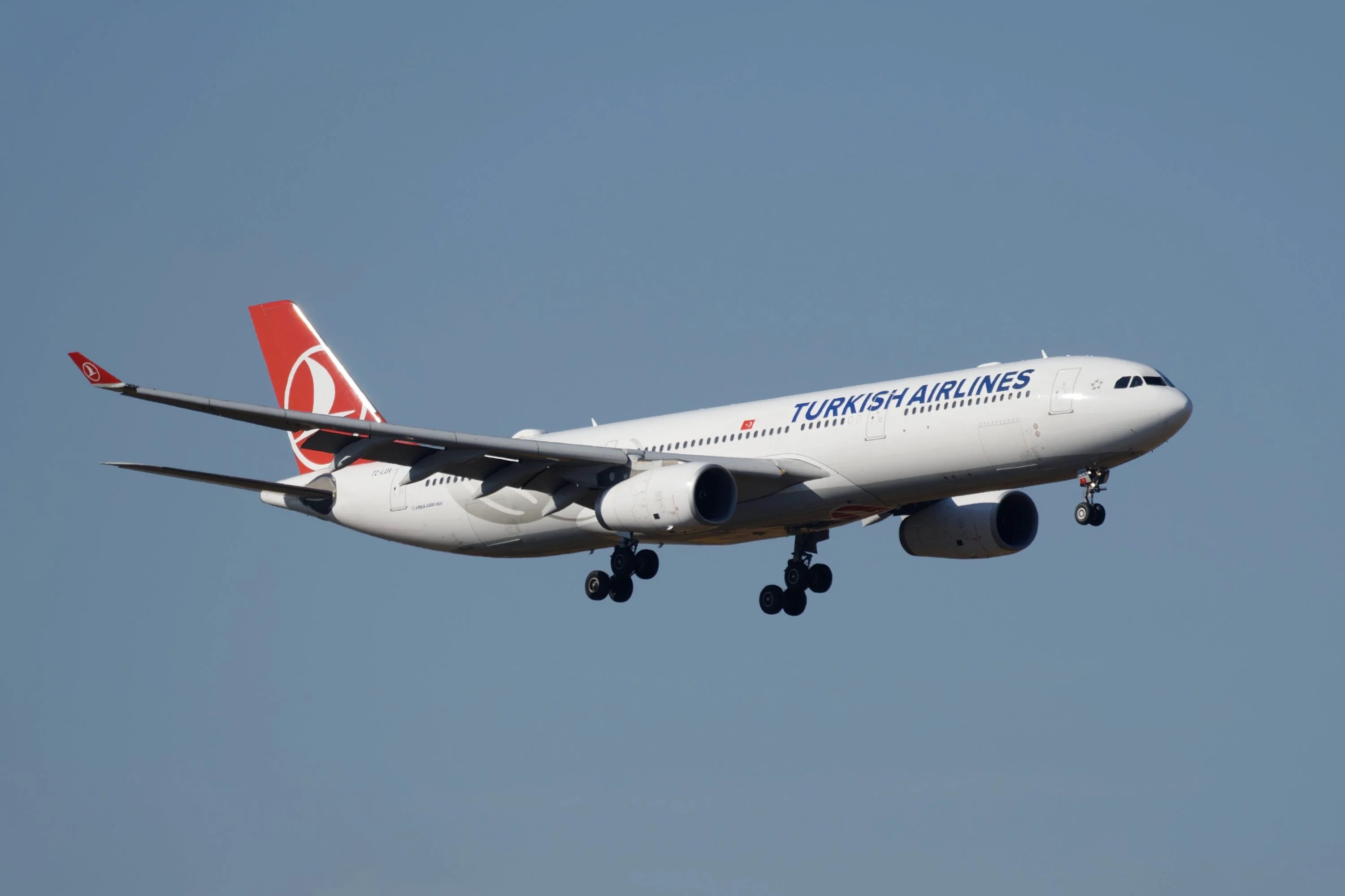 Best Ways To Book Turkish Airlines Business Class With Points