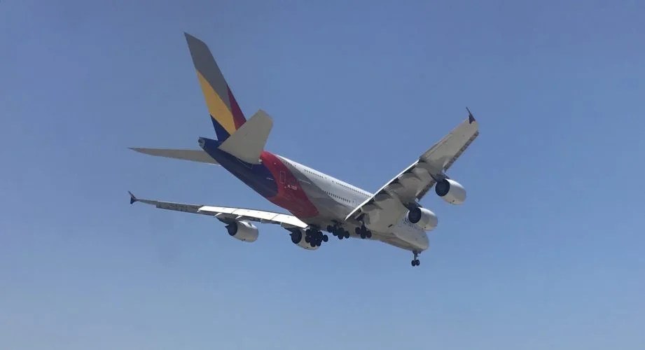Asiana Airlines Baggage Fees & Policy [2023 Update]
