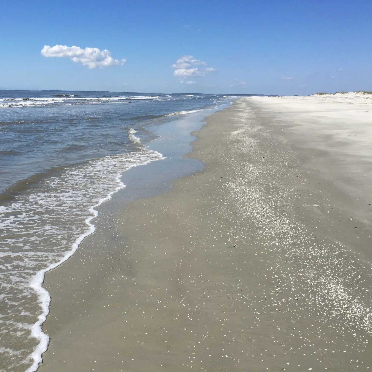 The 14 Best Lake & Coastal Beaches in [2023]