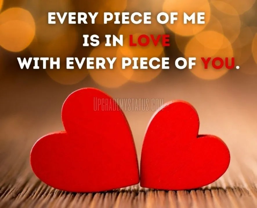 190+ New One Line Love Status In English With Images Of 2022