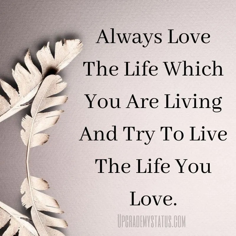 Updated 190+ Best Life Status Positive life Status Happy Life Status