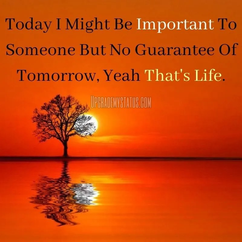 Updated 190+ Best Life Status Positive life Status Happy Life Status