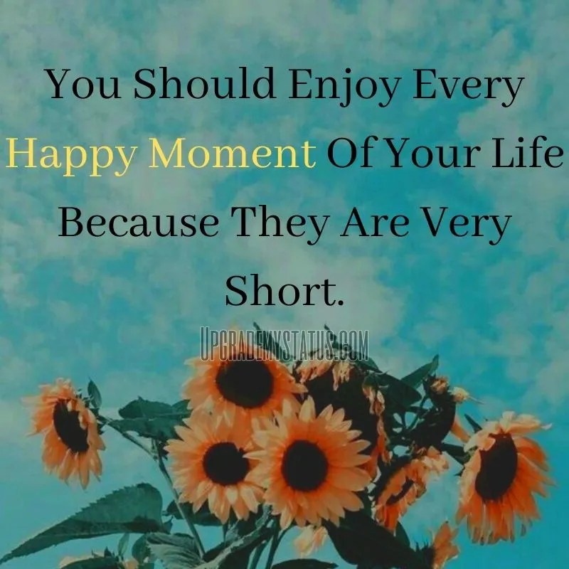 Updated 190+ Best Life Status Positive life Status Happy Life Status