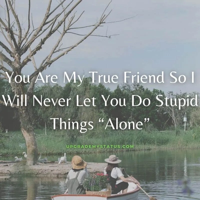 Friendship Status For WhatsApp Friendship Status For Fb Funny