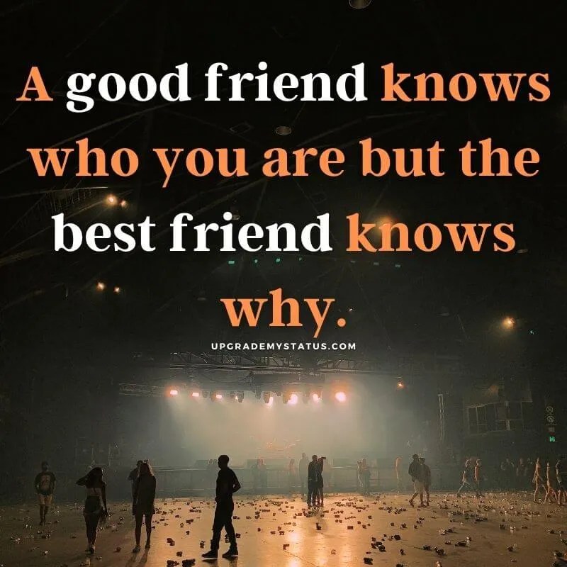 Friendship Status For WhatsApp Friendship Status For Fb Funny