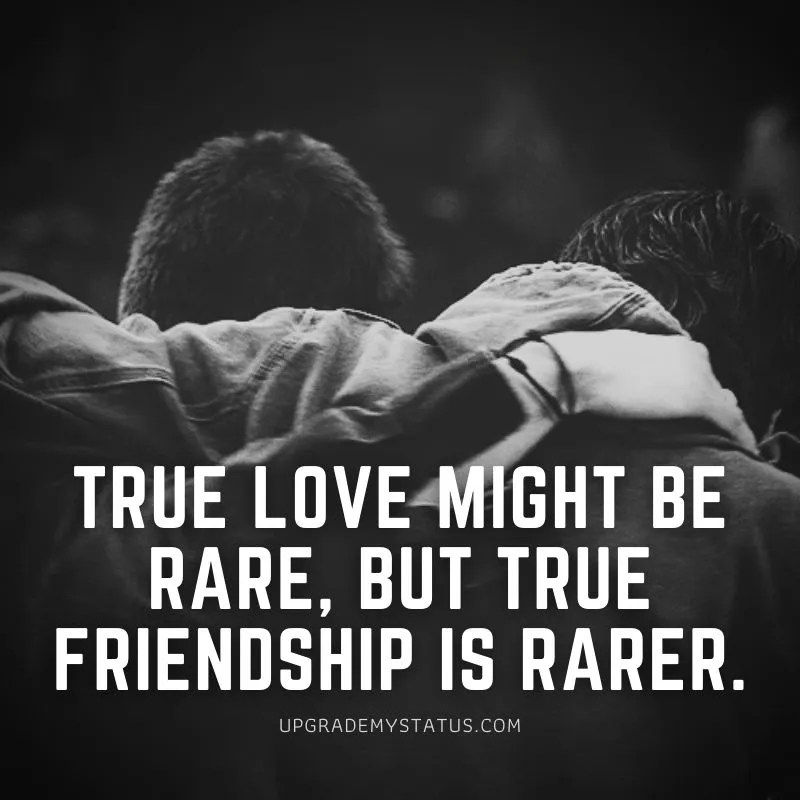 110 New Friendship Status Download Friendship Funny Status 2022