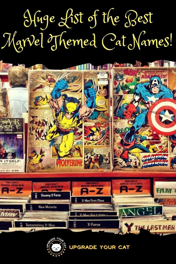 Huge List of Marvel Cat Names!