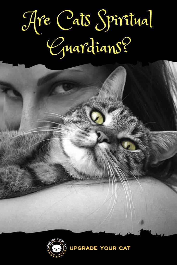 Are Cats Spiritual Guardians? Upgrade Your Cat