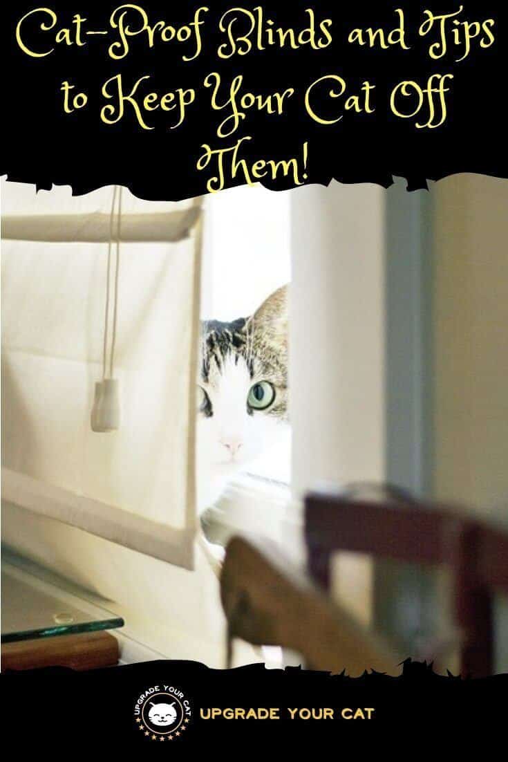 CatProof Blinds Plus Tips to Stop Your Kitty Damaging Your Blinds