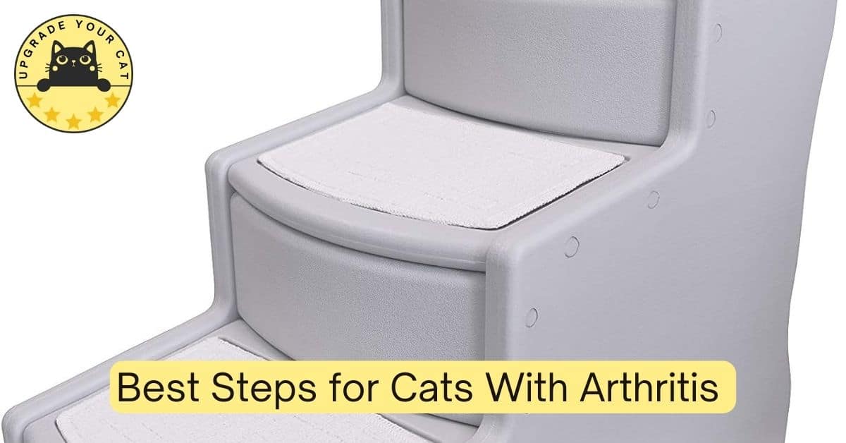 Best Steps for Cats with Arthritis Steps and Stairs for Arthritis Relief