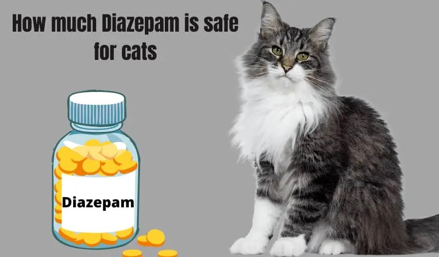 How much Diazepam is safe for cats? Dosage Chart by Weight
