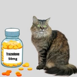 Trazodone For Cats Dosage Chart by Weight