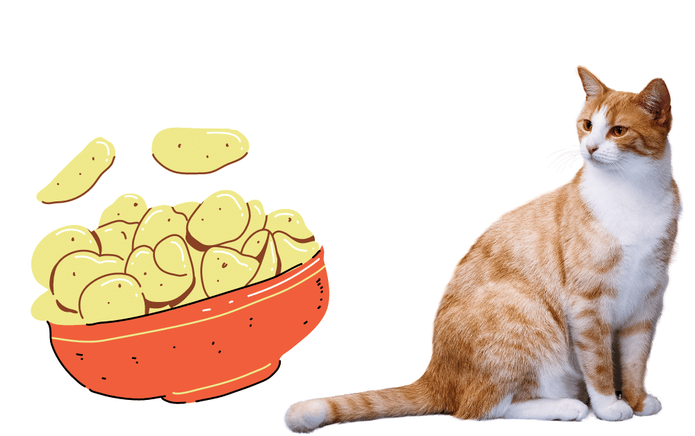 Can Cats have Veggie Straws? 5 Side Effects