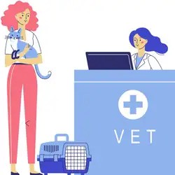 Amoxicillin For Cats: Dosage Calculator & Chart By Weight