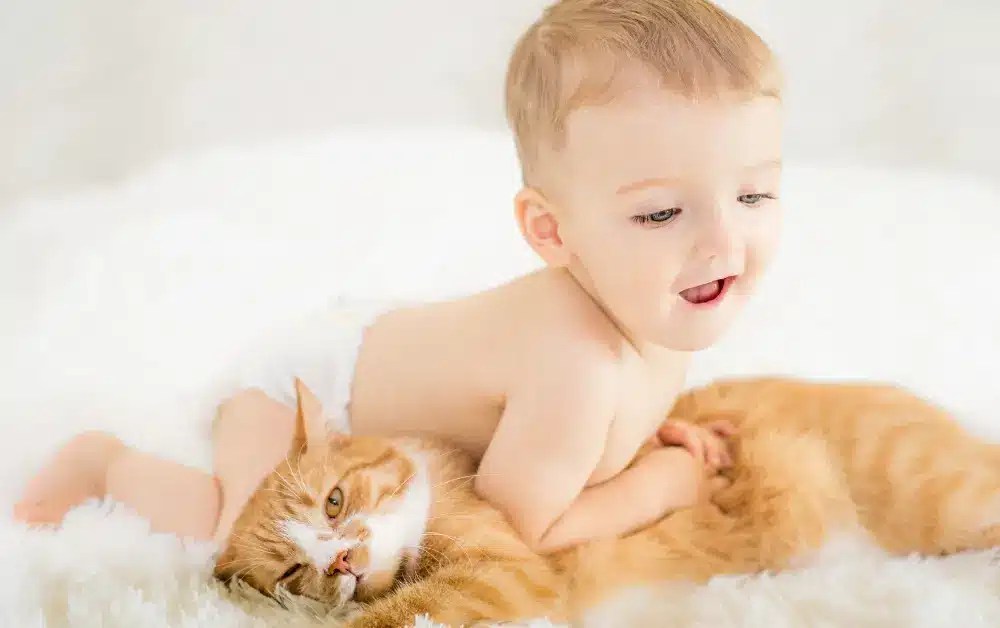 Is It Safe To Have Cats Around Newborns? Essential Considerations