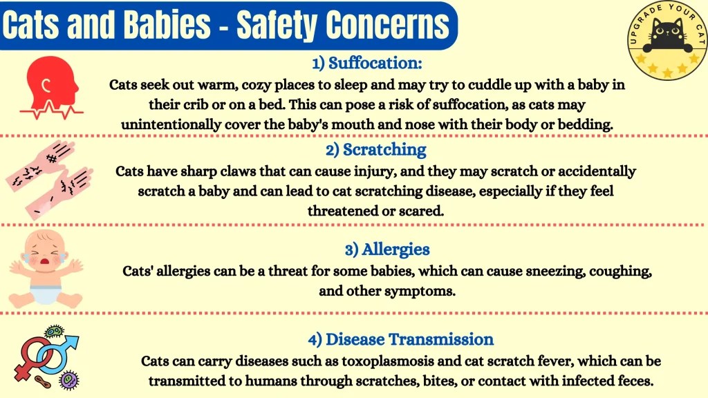 Is It Safe To Have Cats Around Newborns? Essential Considerations