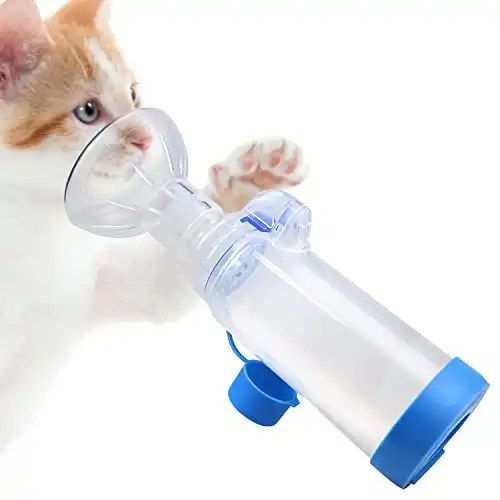 Best Inhalers for Cats with Asthma and Approved by Vets