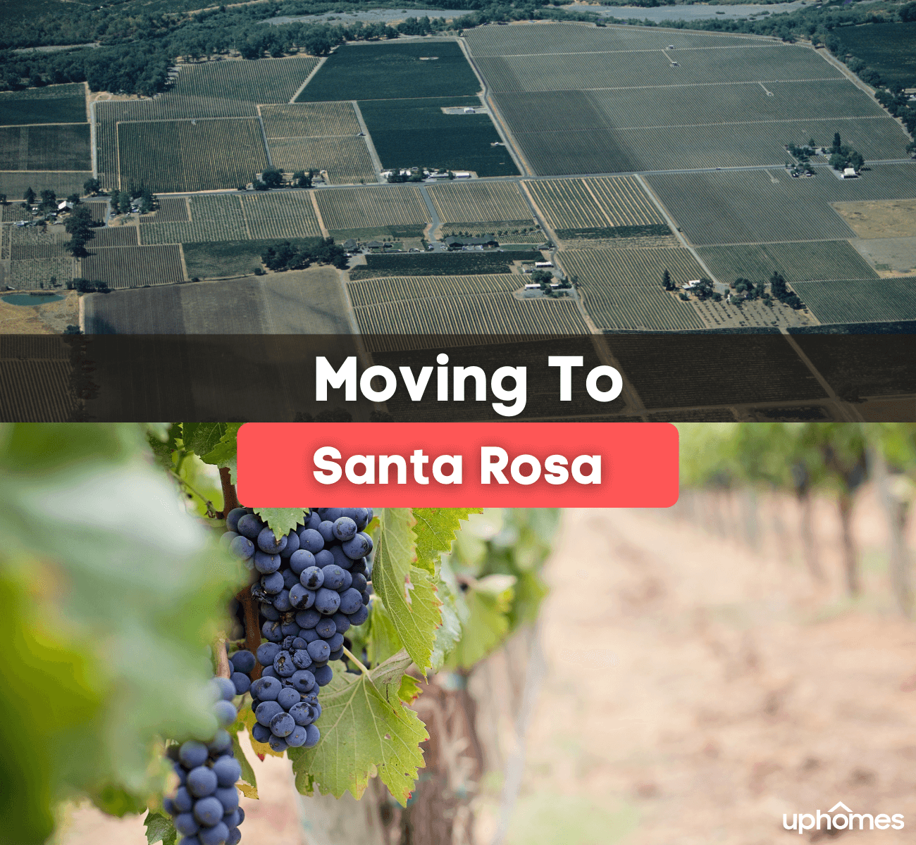Life in Santa Rosa, CA 7 Things to Know BEFORE Moving to Santa Rosa, CA