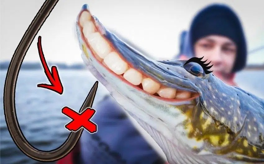 7 Reasons You Need Barbless Fishing Hooks (Does it Worth!)