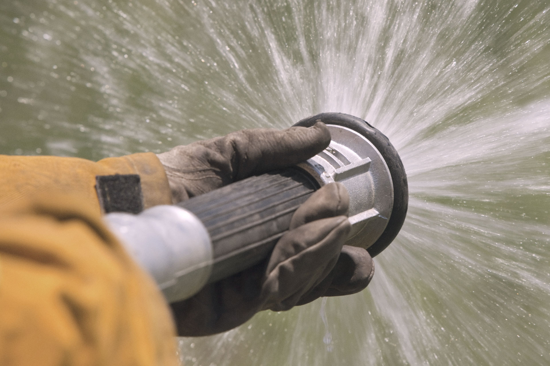 The Four Craziest Things We Saw This Year Upkeep Lawn Care Upkeep