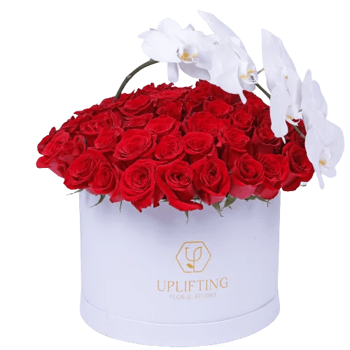 Red Rose Affair uplifting floral studio