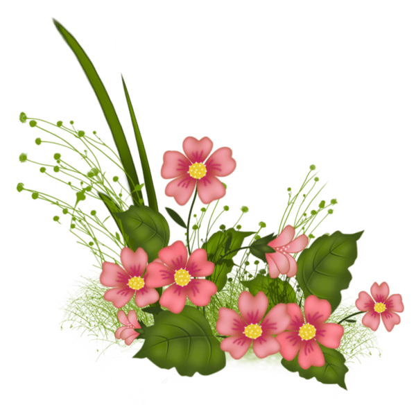 سكرابز ورد بدون تحميل , سكرابز زهور بخلفيات شفافة, سكرابز