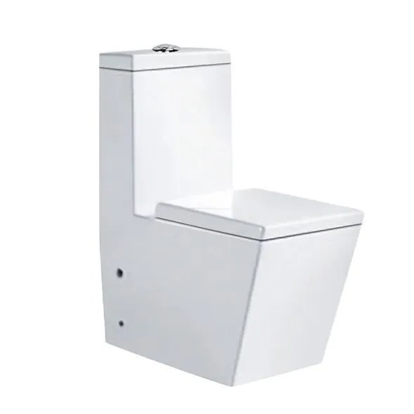 GOLDEN DRAGON BATHROOM TOILET STRAIGHT FLUSH TOILET ; ONE PIECE TOILET (25CM) STRAP, WHITE