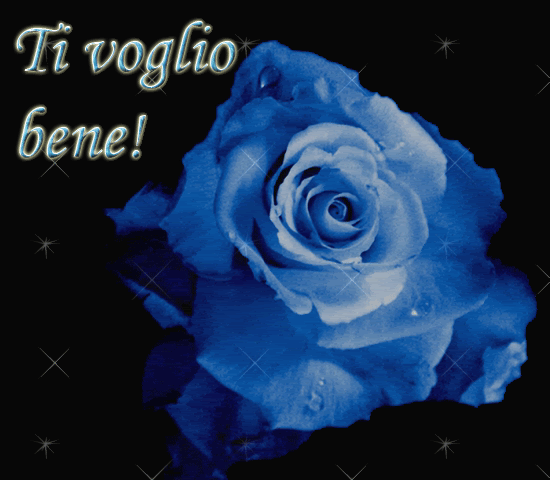 AMICIZIA FRASI, CITAZIONI, CARD E GIF ANIMATE BELLISSIME