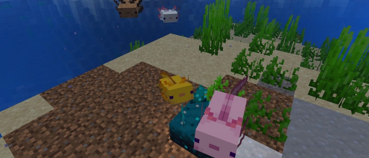 Minecraft Actualité Minecraft, aide et astuces avec