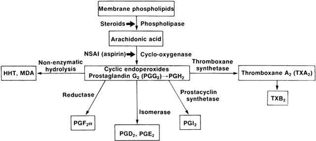 Antiinflammatory Medications Basic Science Orthobullets
