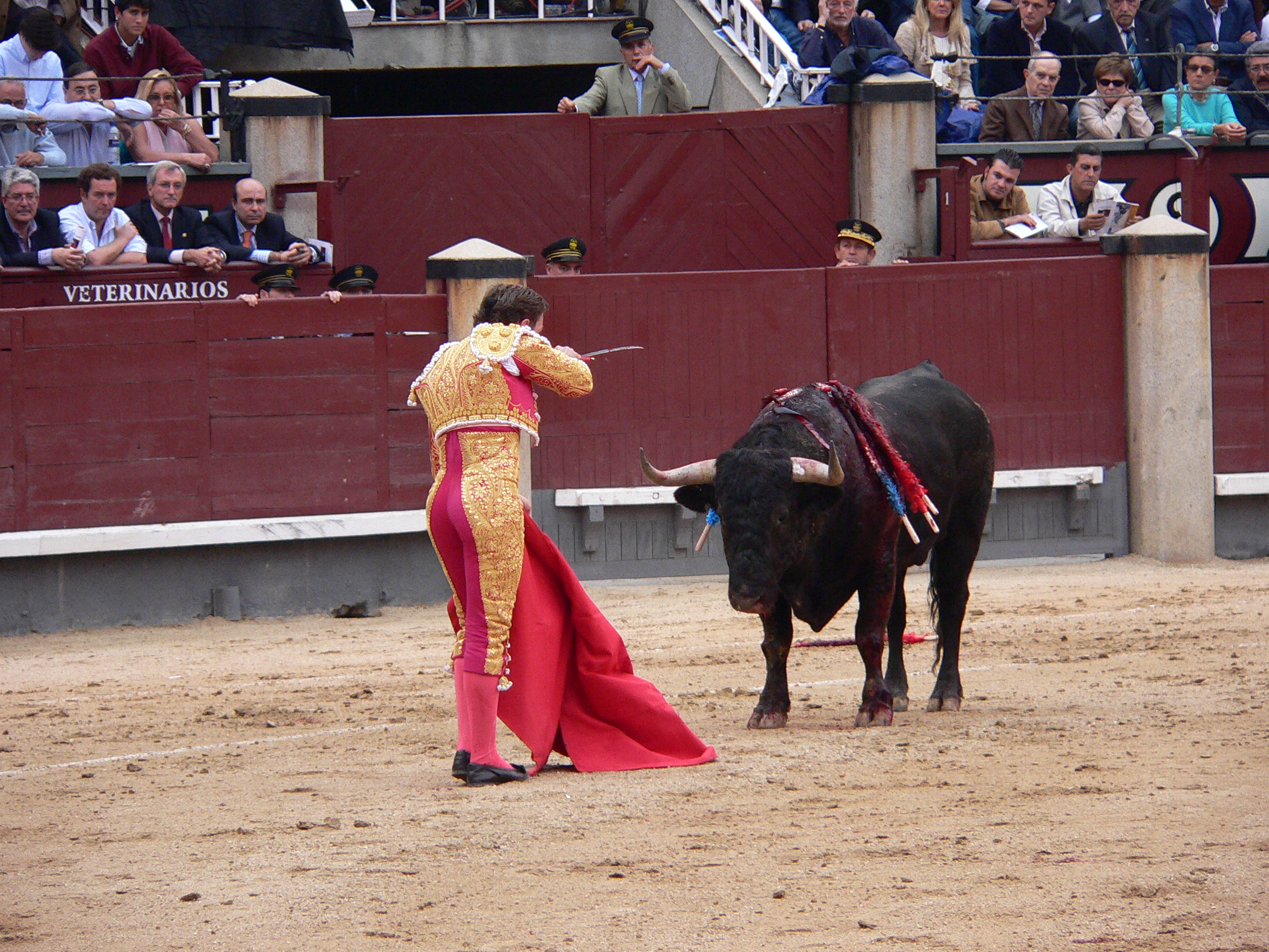 FileMatador.JPG Wikimedia Commons