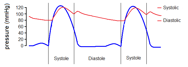 File:cardiac Cycle Pressure Only.png - Wikimedia Commons