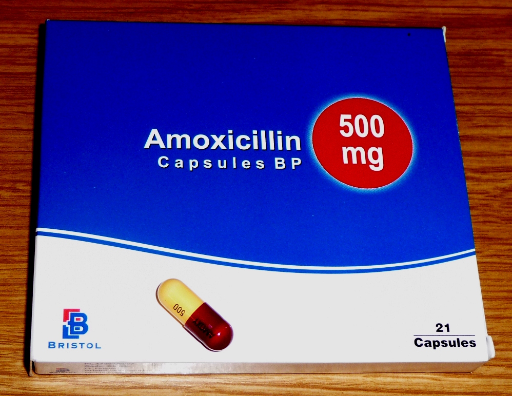 FileAmoxicillin.JPG Wikipedia