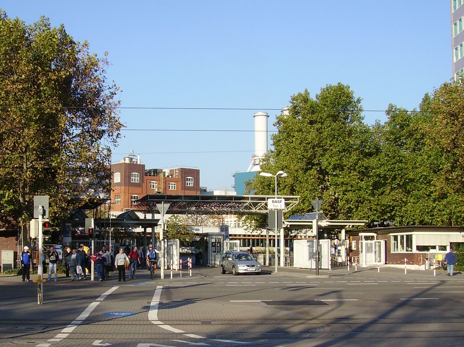 Basf Wikipedia