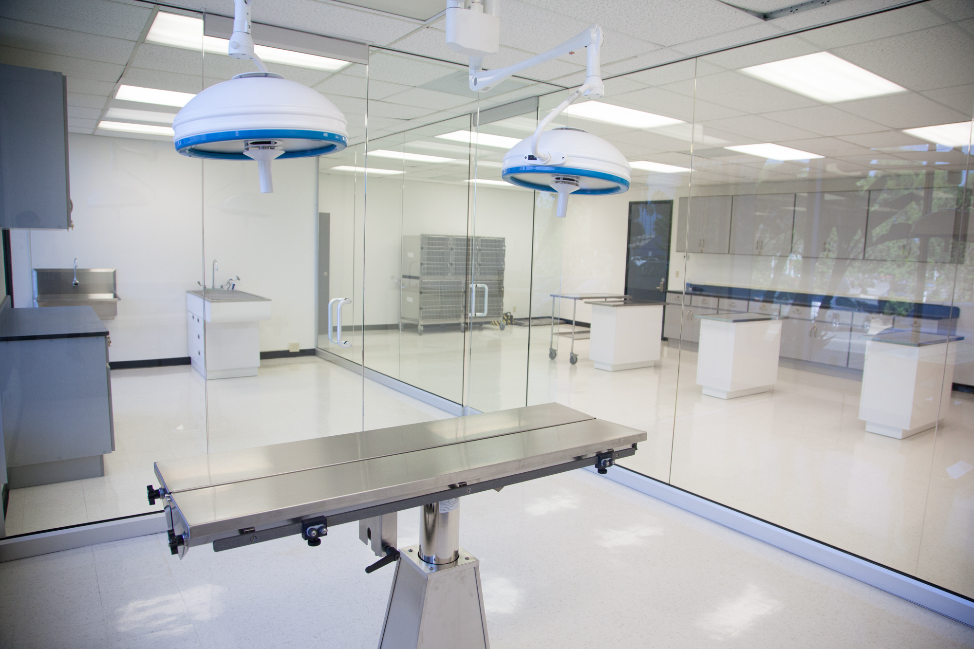 FileVet Tech Lab2.jpg Wikimedia Commons