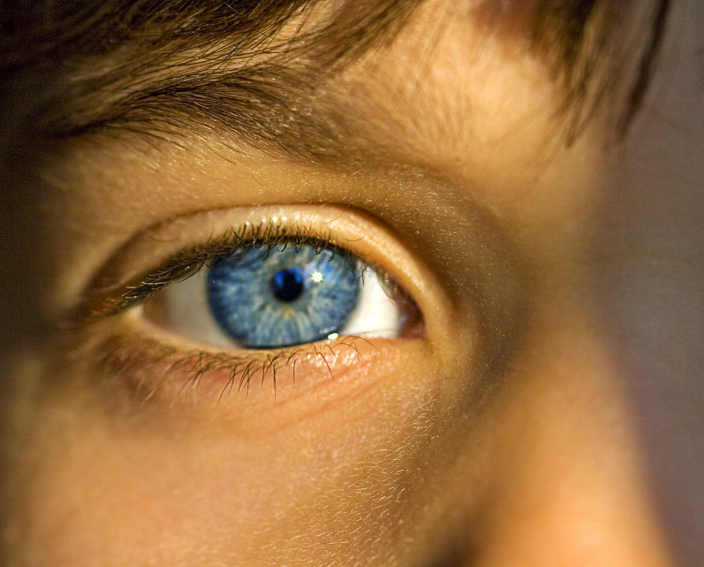 FileBlue Eye Boy.jpg Wikimedia Commons