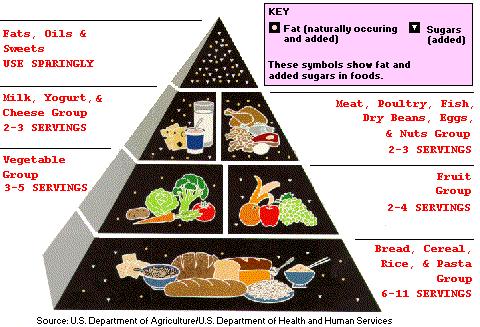 Low-fat diet - Wikipedia
